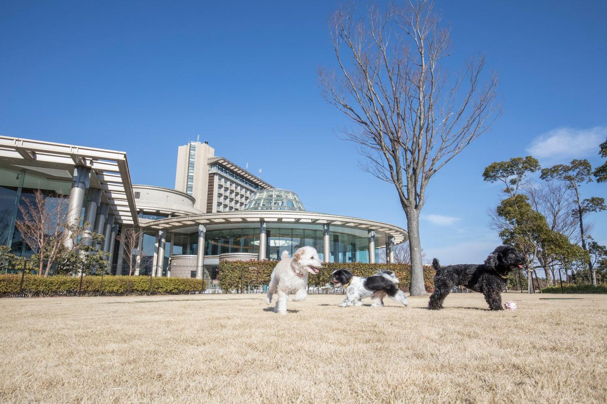 Hilton Odawara Resort & Spa Zewnętrze zdjęcie
