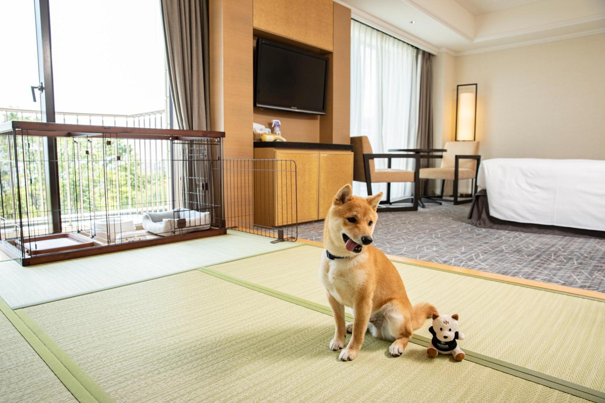 Hilton Odawara Resort & Spa Zewnętrze zdjęcie